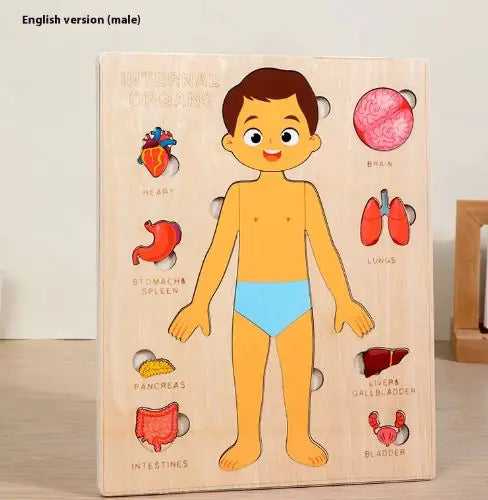My First Anatomy Buddy | Plush Human Body & Organs Puzzle for Kids