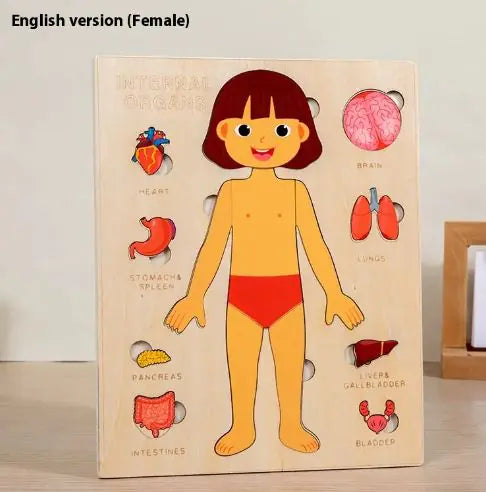 My First Anatomy Buddy | Plush Human Body & Organs Puzzle for Kids
