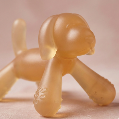 The SilicoPure Hygienic Shield | Medical-Grade Anti-Static Teether