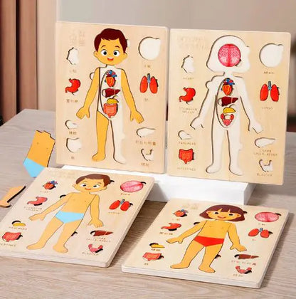 My First Anatomy Buddy | Plush Human Body & Organs Puzzle for Kids